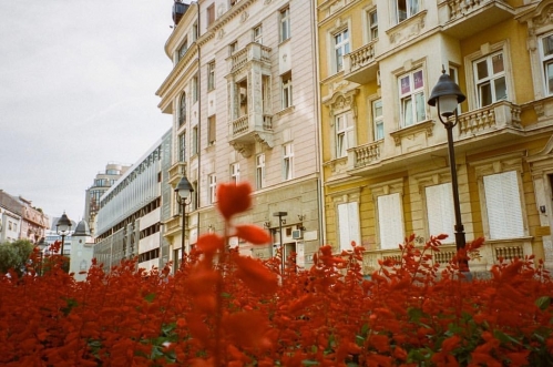 EBBR0113.jpg