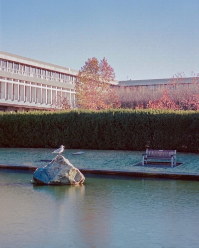 EBBR0146.jpg