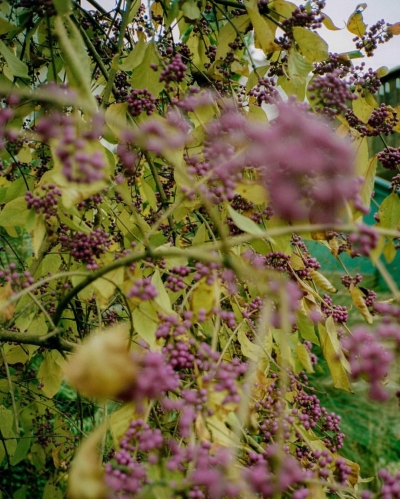 EBBR0230.jpg