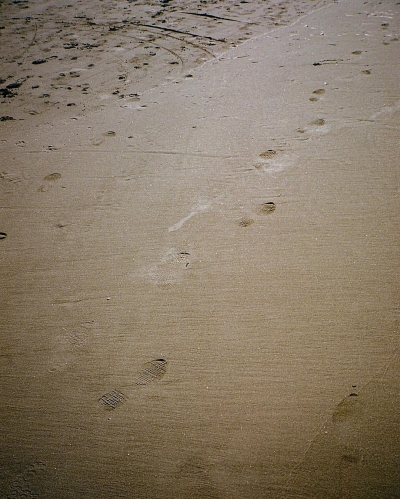 EBBR0231.jpg