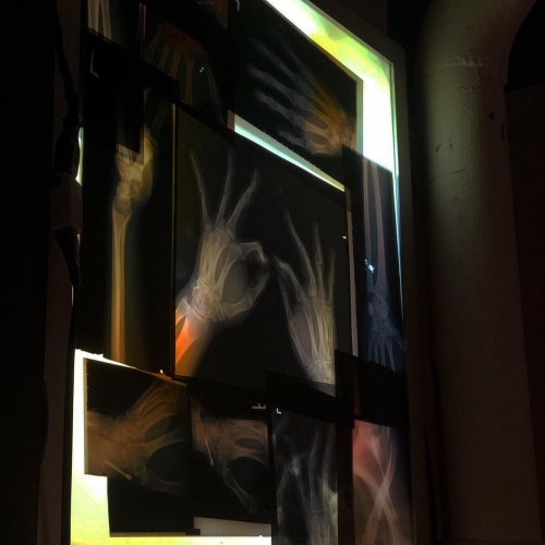 EBBR0264.jpg