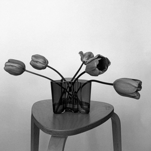EBBR0351.jpg