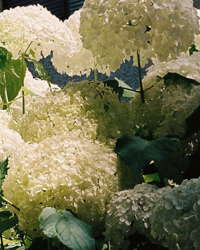 EBBR0417.jpg