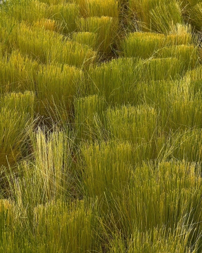 EBBR0560.jpg