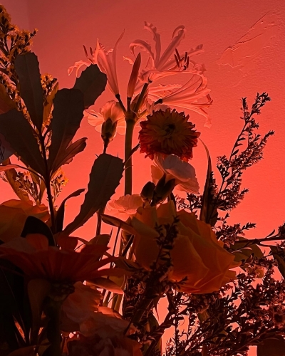 EBBR0618.jpg