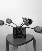 EBBR0351.jpg