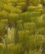 EBBR0560.jpg